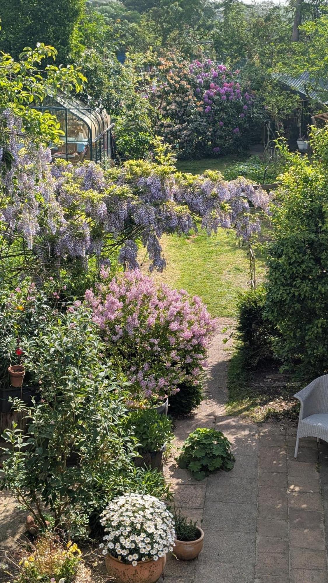 Zimmer Mit Gartenblick Schleswig Exterior photo